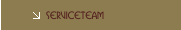 Serviceteam